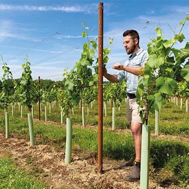 Agriculture Wire